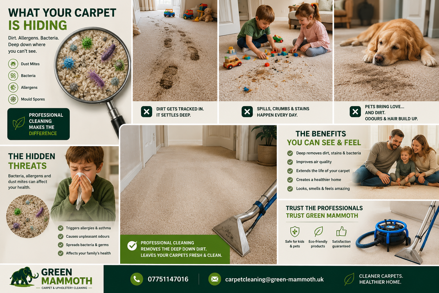 Carpet Cleaning Results