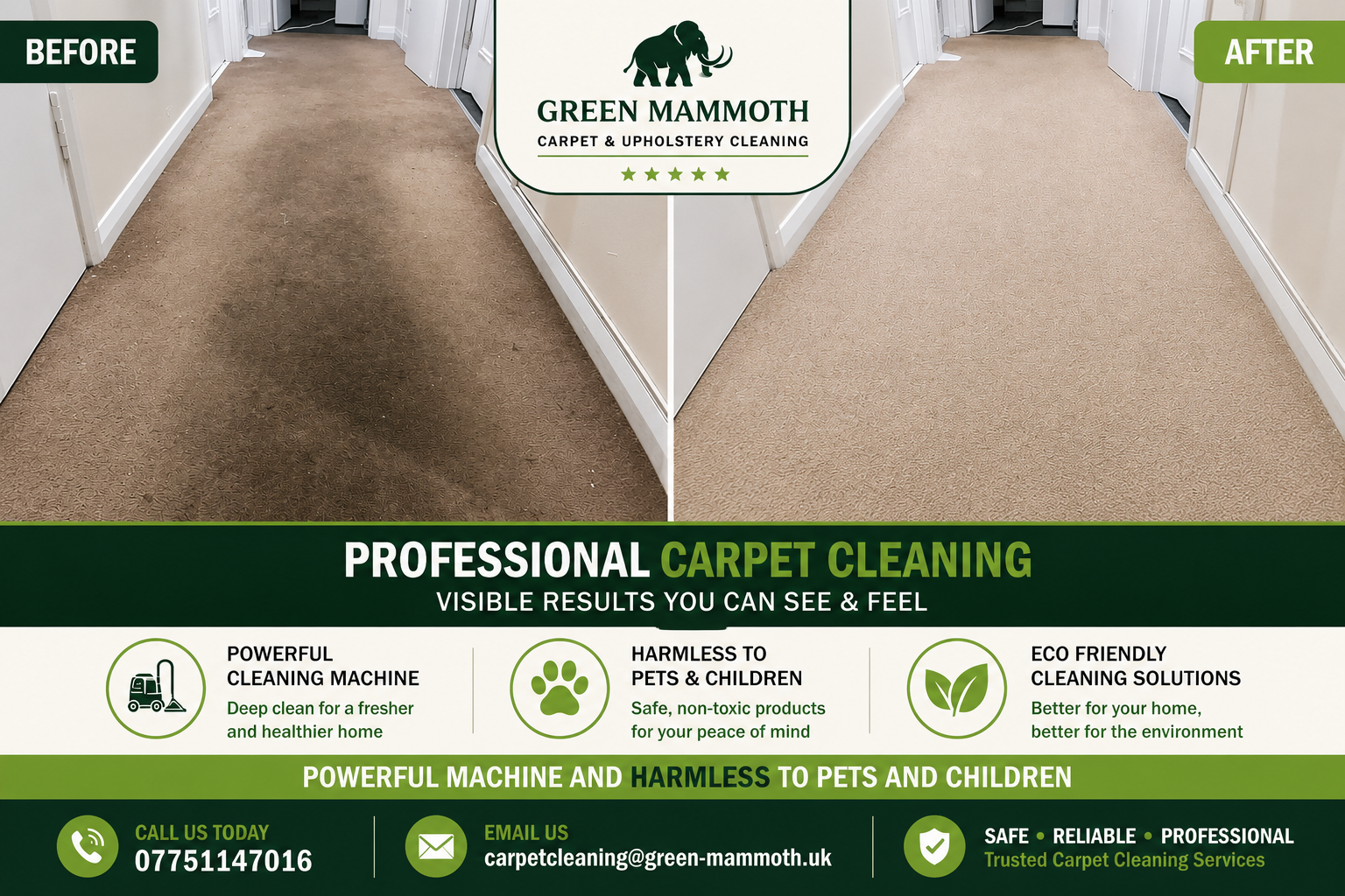 Carpet Before and After