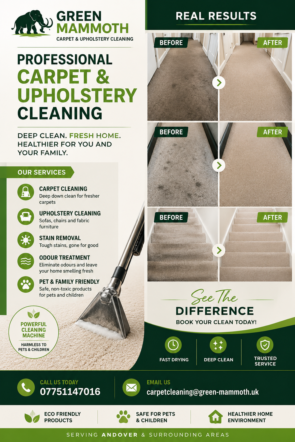 Professional Carpet Cleaning